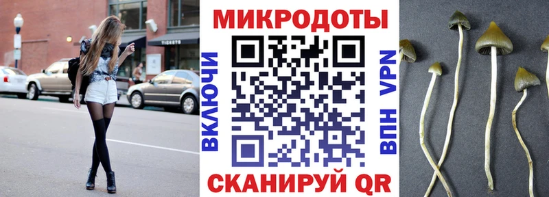 Купить закладки  Мурманск  Галлюциногенные грибы GOLDEN TEACHER 